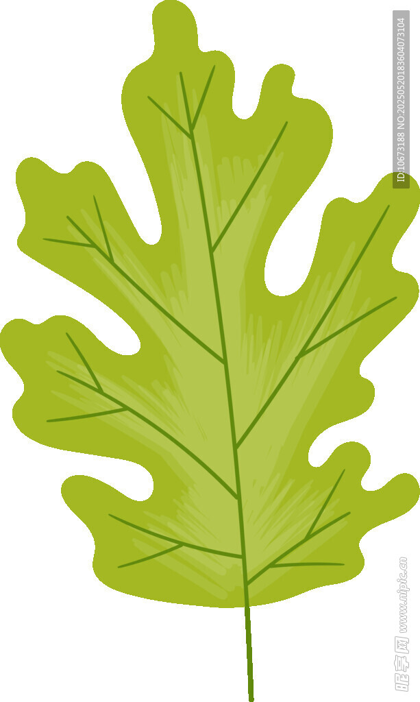 綠色橡樹葉插畫