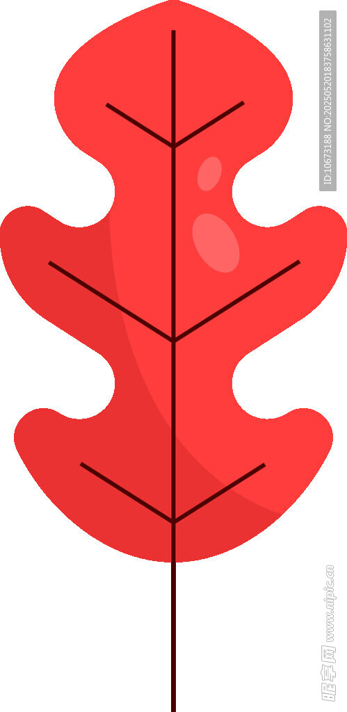 紅色楓葉插畫(huà)