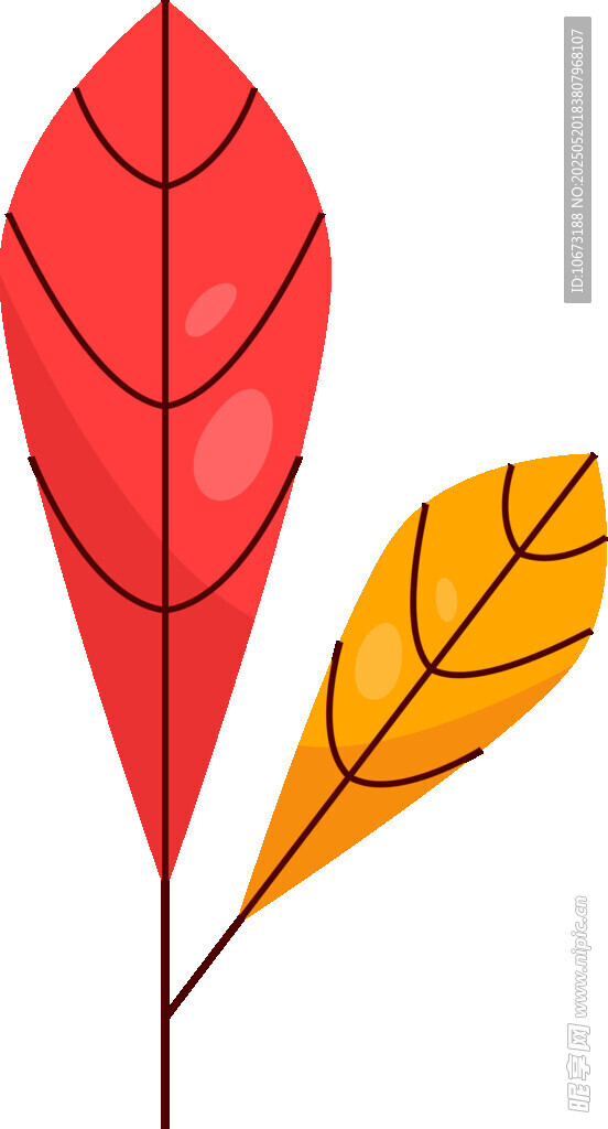 雙色秋葉插畫