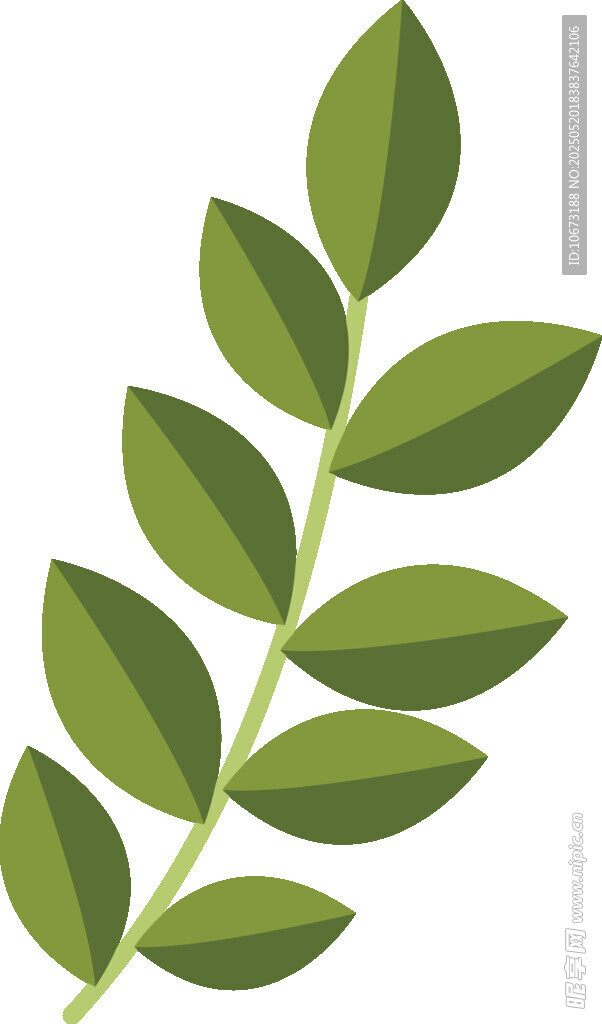 綠色枝葉插畫