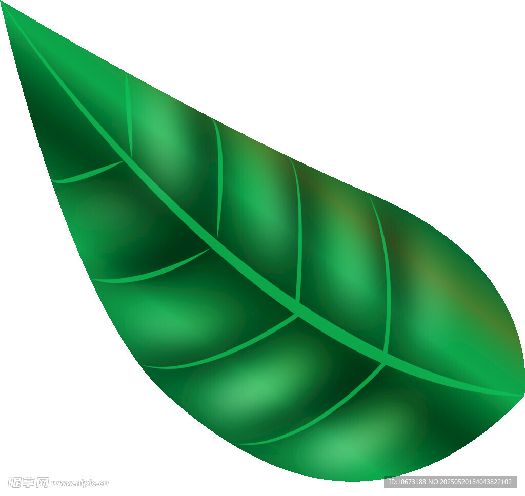 翠綠葉片插畫