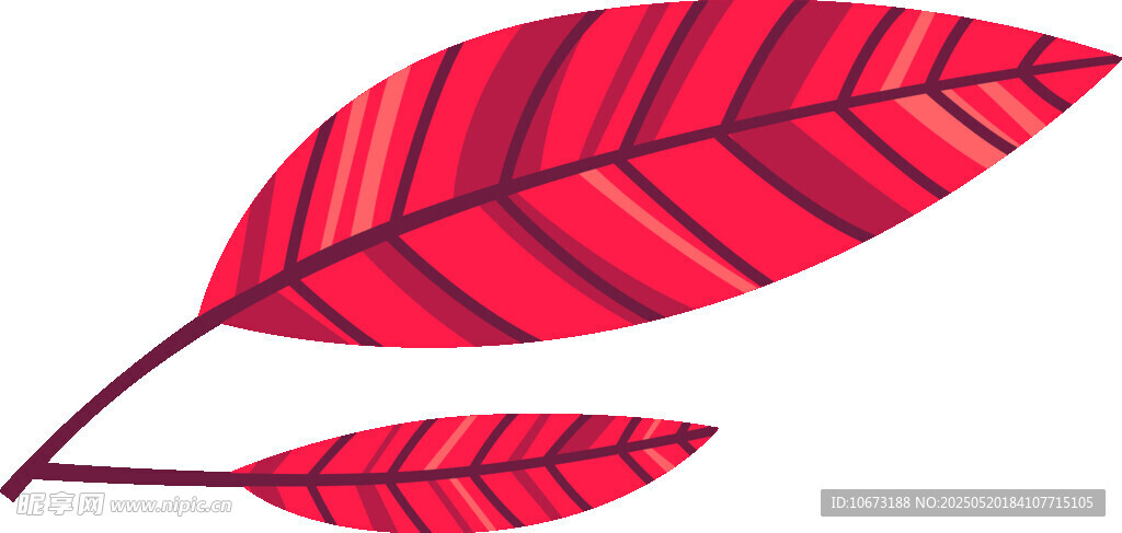 紅色條紋葉片插畫