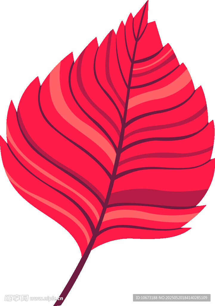 紅色條紋葉片插畫