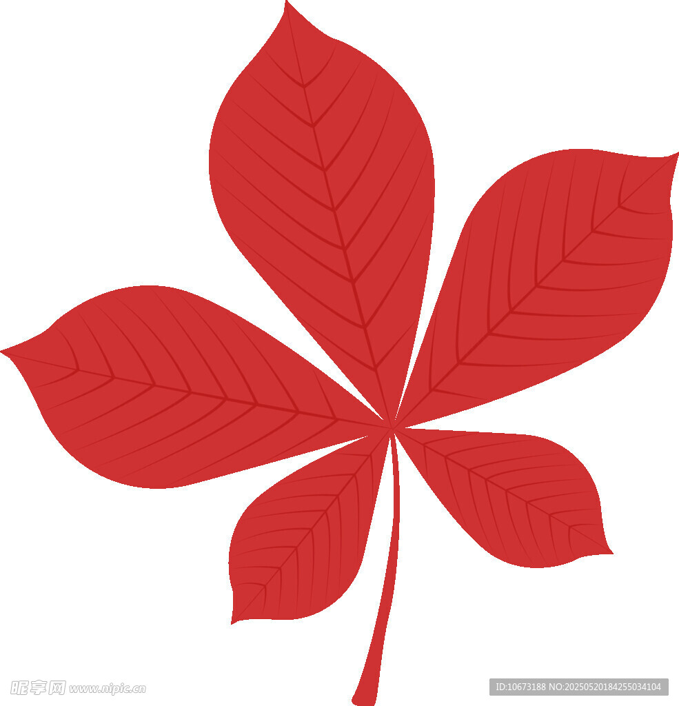 紅色五瓣葉片插畫
