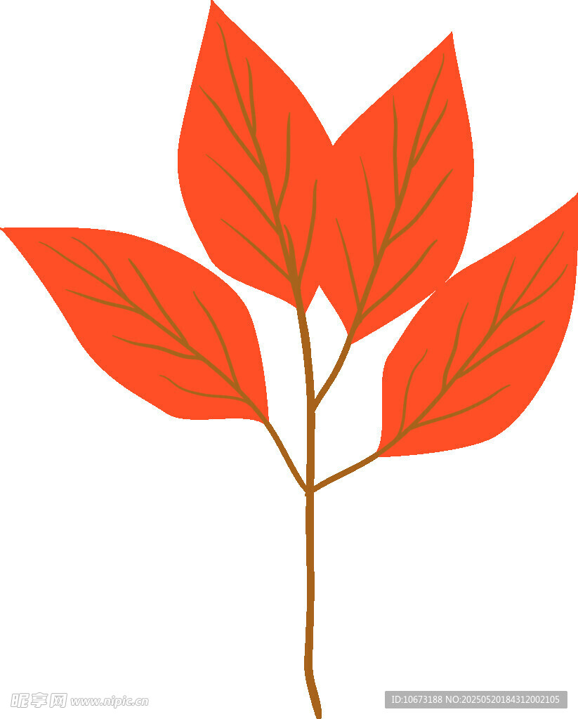 紅色葉片插畫