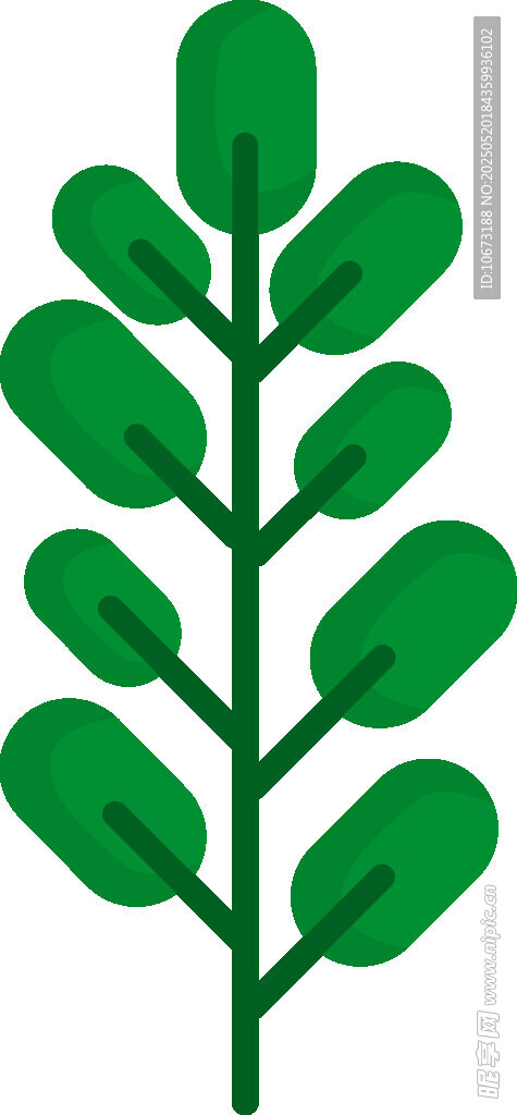 綠色植物枝葉圖案