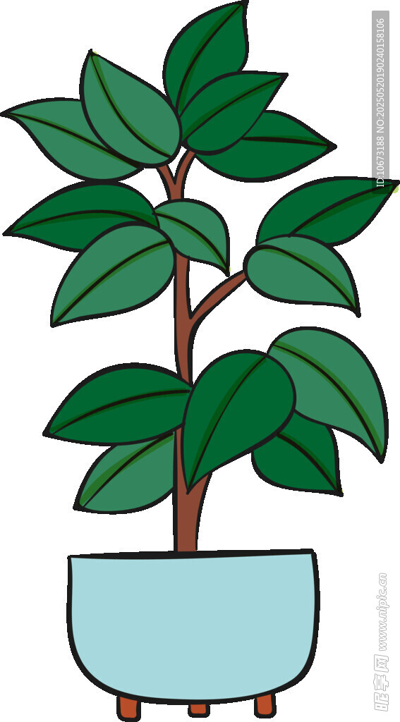 盆栽綠植 清新室內小植物