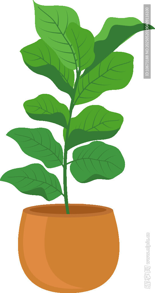 盆栽綠植 清新室內(nèi)小植物