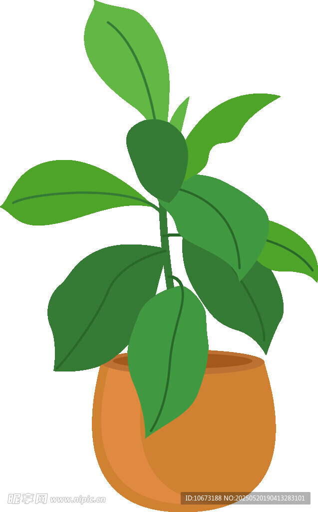 盆栽綠植 清新室內小植物