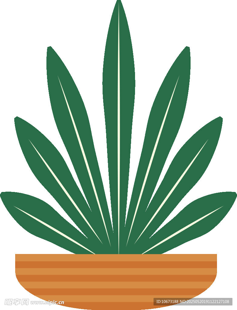 盆栽綠植