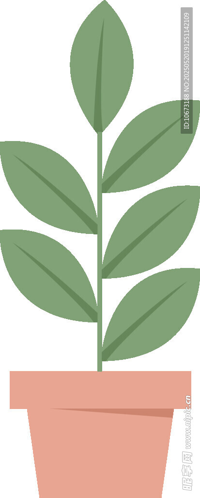 盆栽綠植 清新小植物