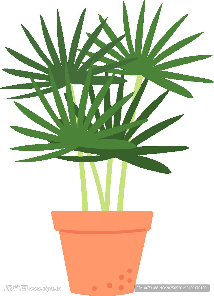 盆栽棕櫚植物插畫