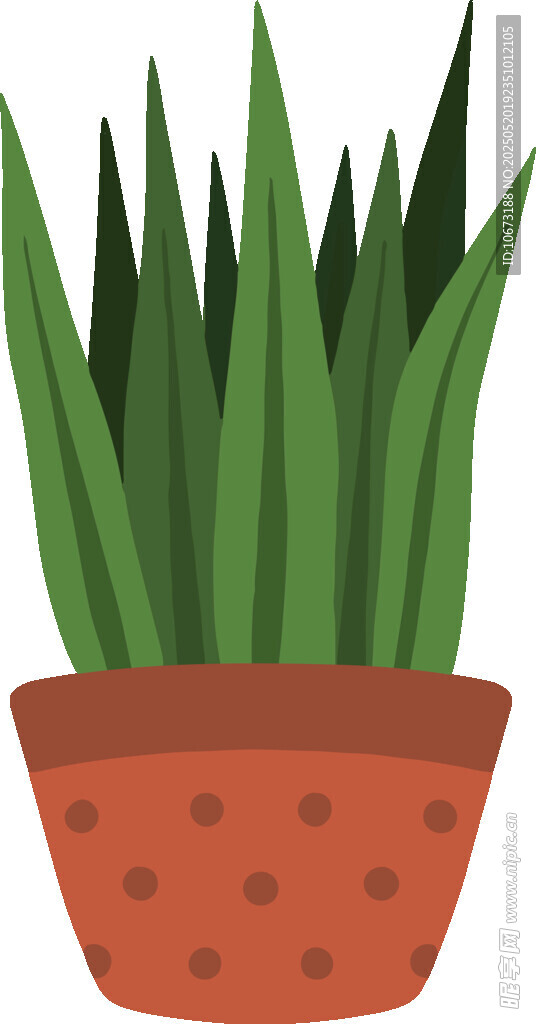 盆栽綠植 清新小植物