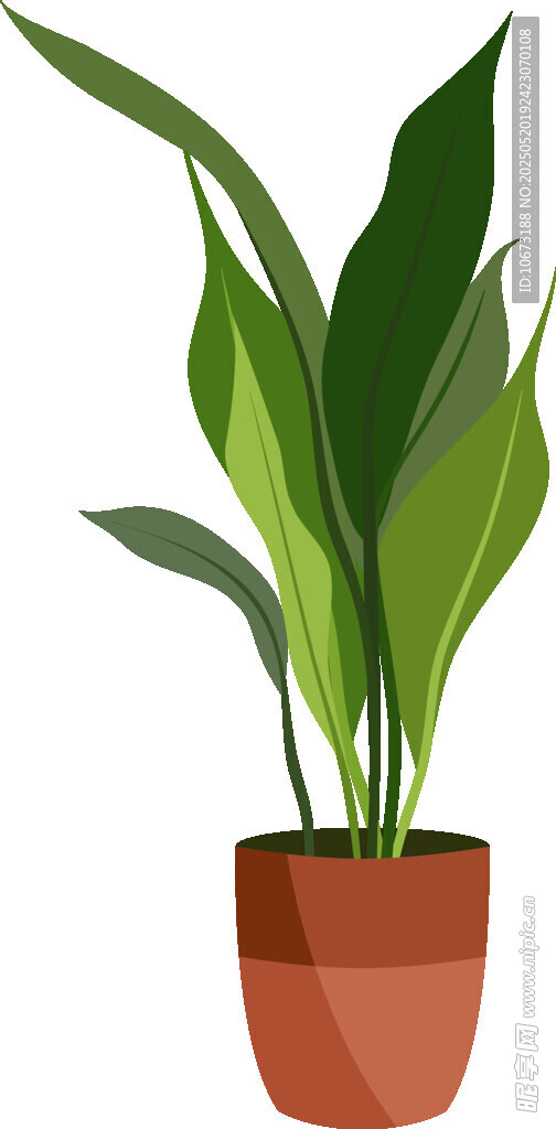 盆栽綠植 清新室內植物