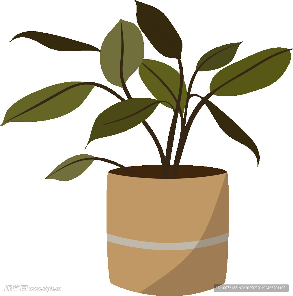 盆栽綠植插畫