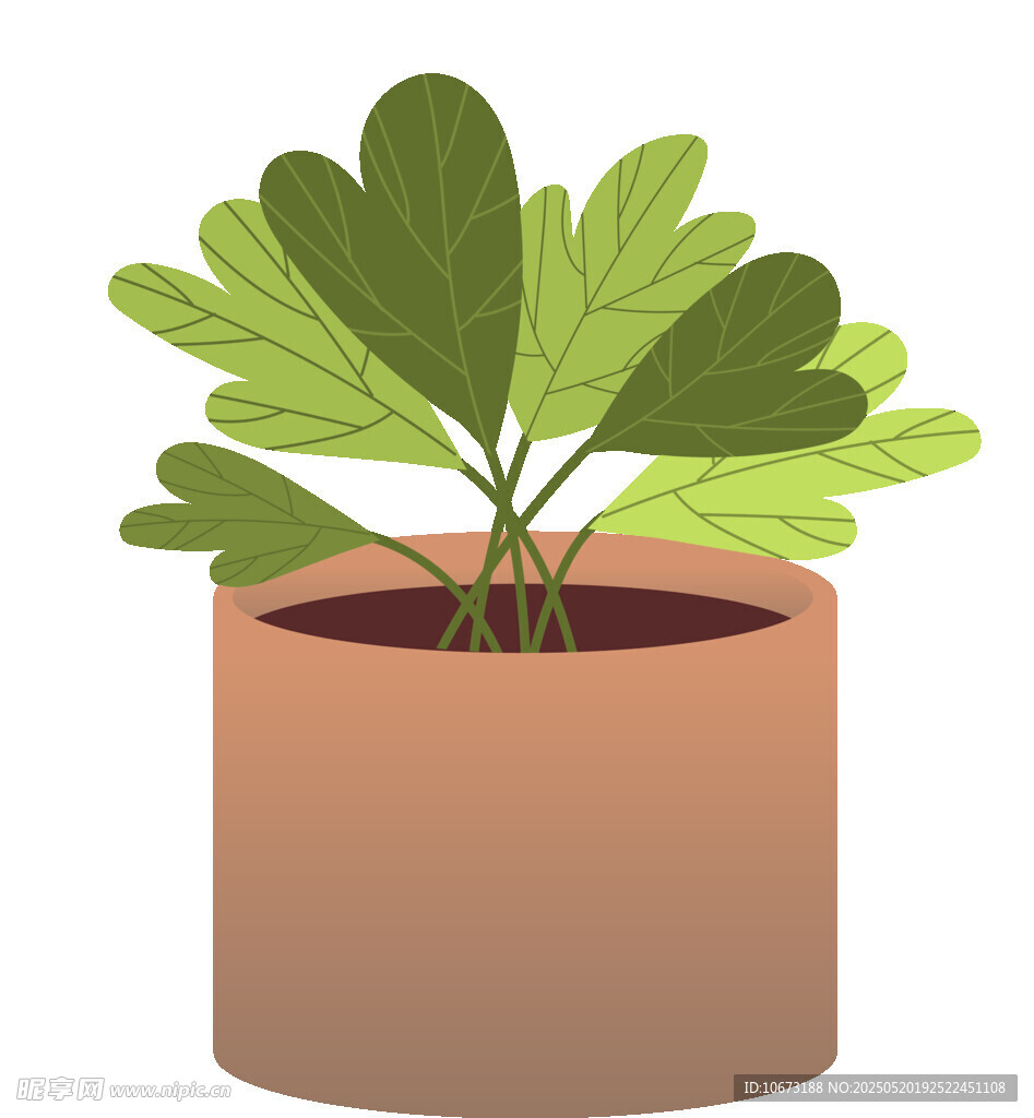 盆栽綠植 清新室內小植物