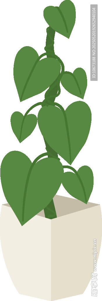 盆栽綠植 清新可愛小植株