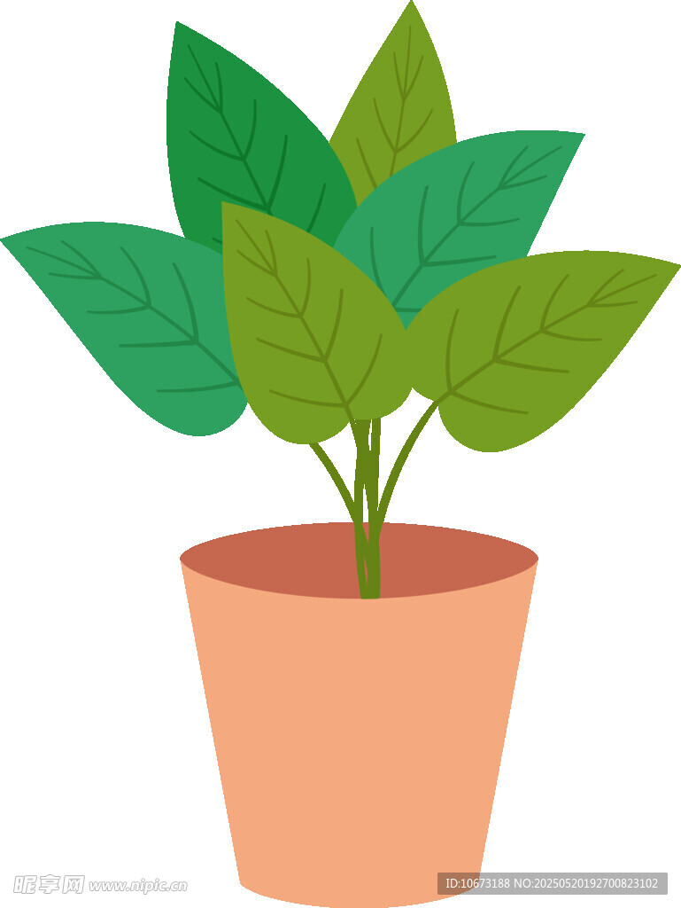 盆栽綠植插畫