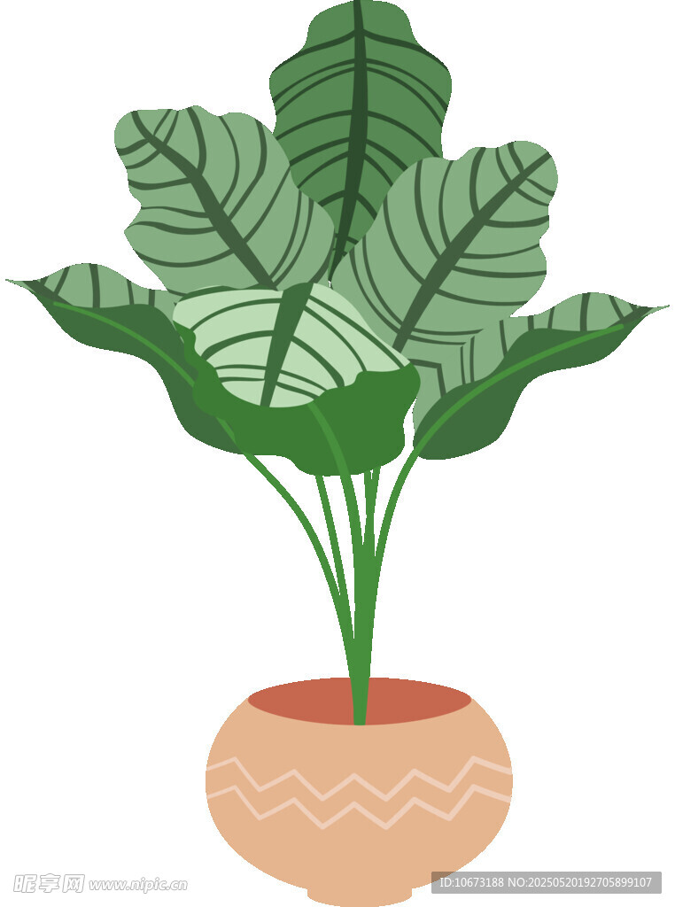 盆栽綠植插畫
