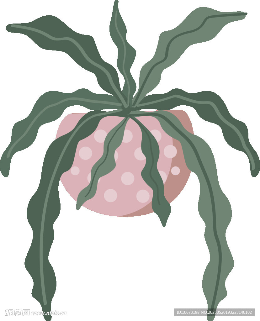 粉色斑點盆栽植物插畫