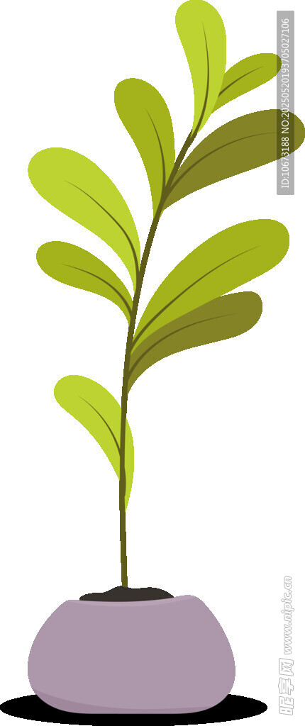 盆栽綠植 清新小植物