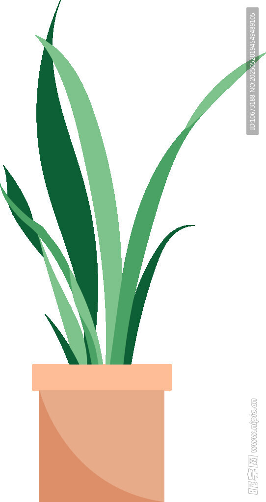 盆栽綠植 清新室內小植物