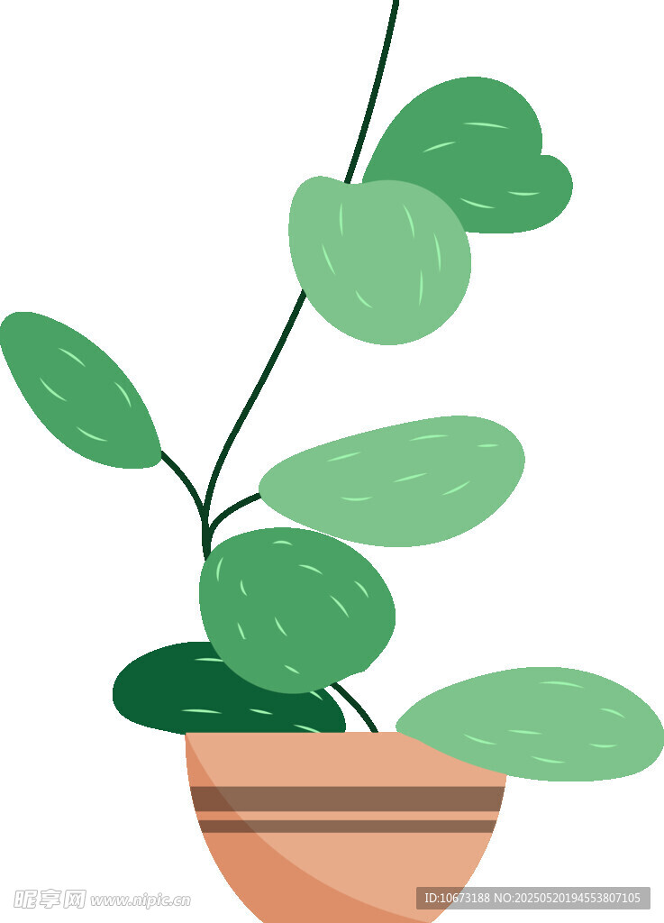盆栽綠植 清新藤蔓植物