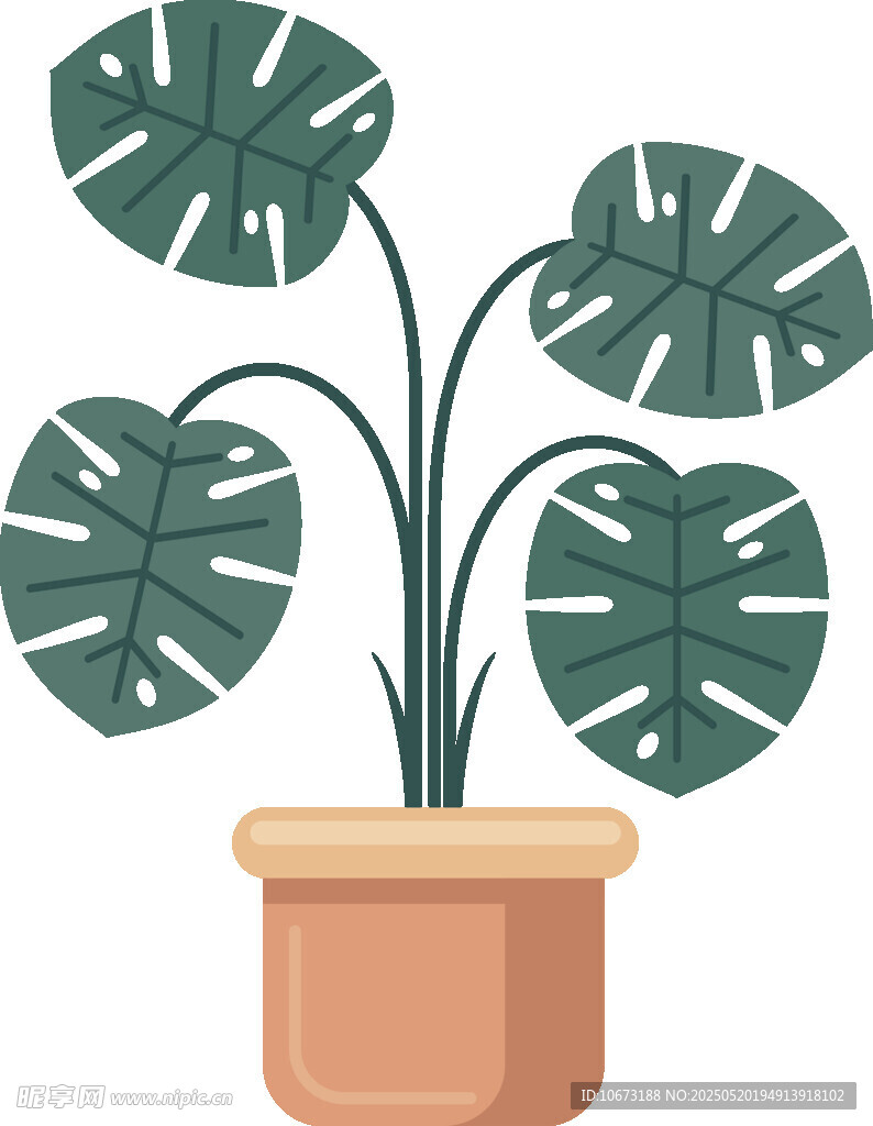 盆栽龜背竹植物插畫