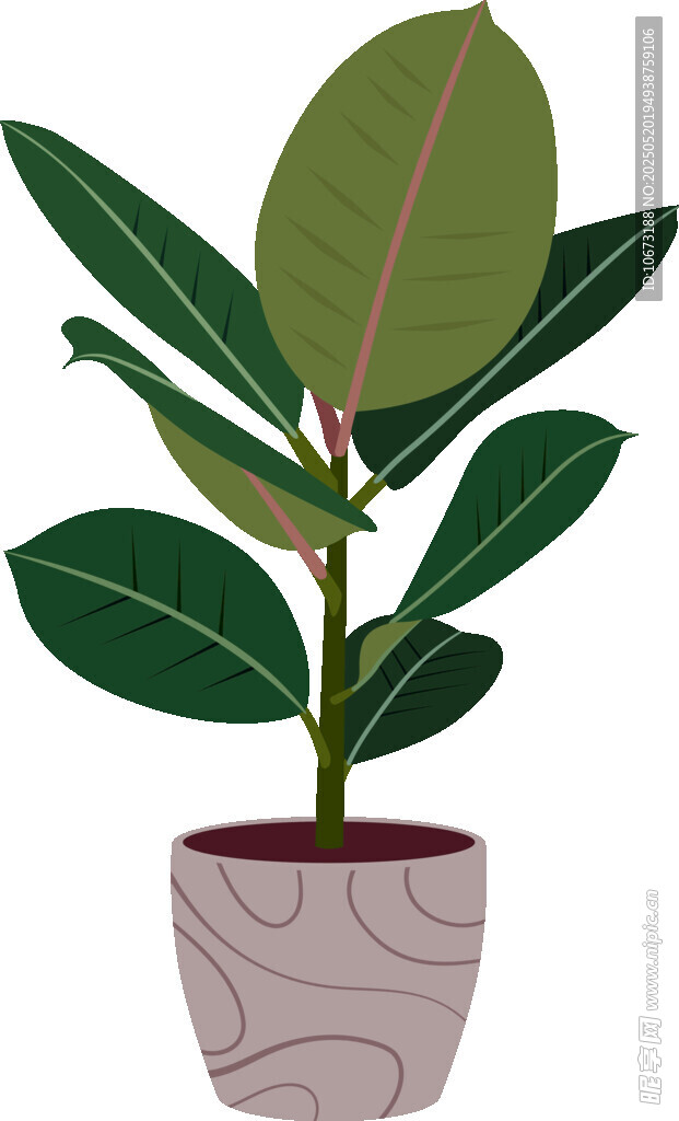 盆栽綠植 簡約風(fēng)室內(nèi)植物