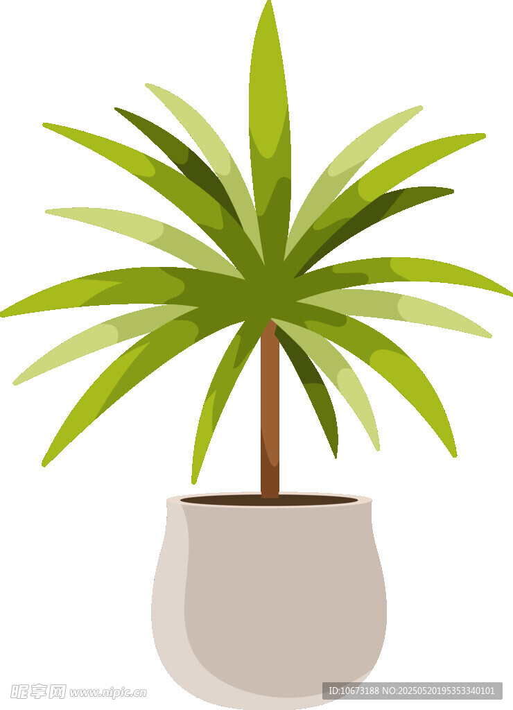 盆栽綠植 清新室內小植物