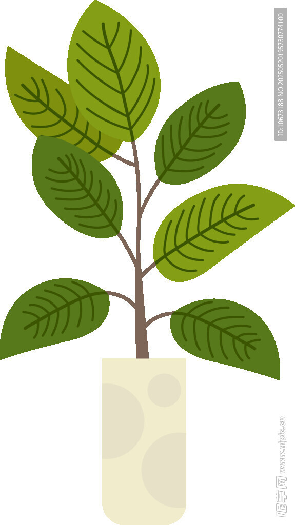 綠葉插瓶 清新自然植物