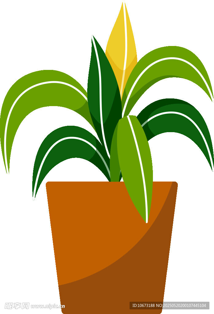盆栽綠植插畫