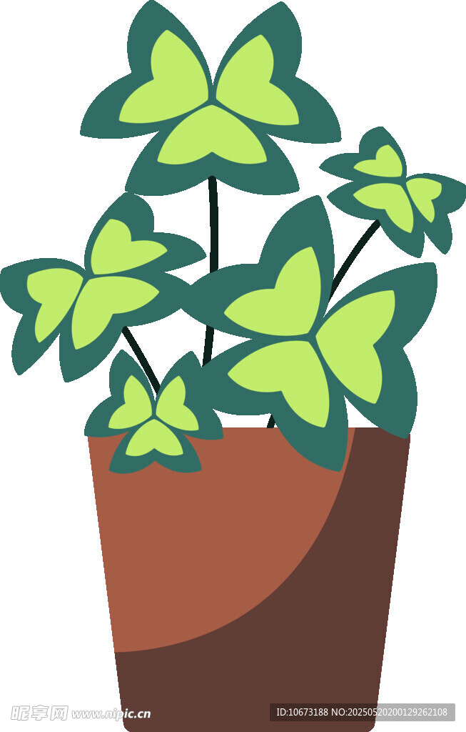 盆栽綠植 清新室內(nèi)小植物