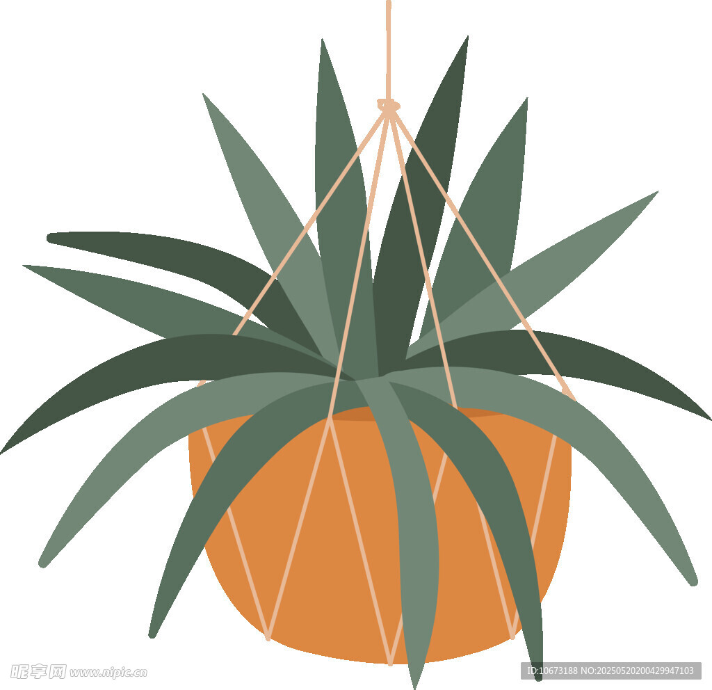 懸掛綠植盆栽插畫