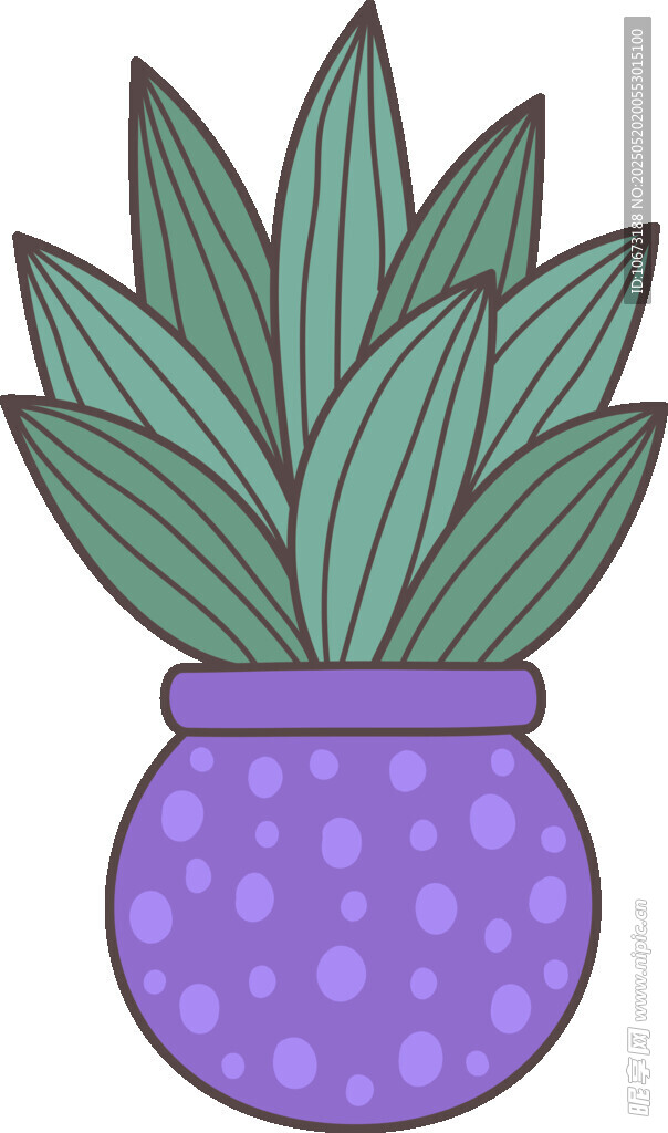 紫色花盆中的綠植