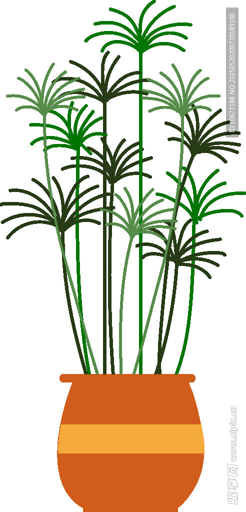 陶盆中的翠綠棕櫚植物