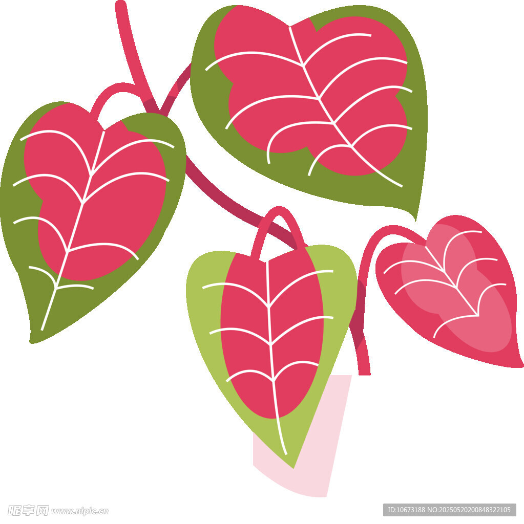 心形葉片插畫