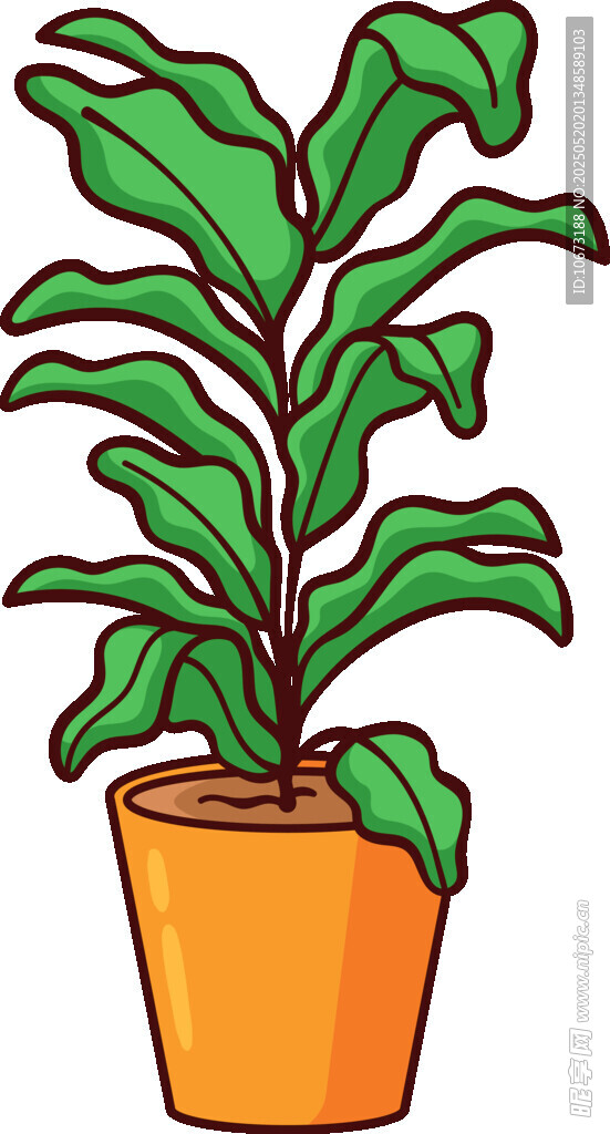 盆栽綠植 清新室內植物