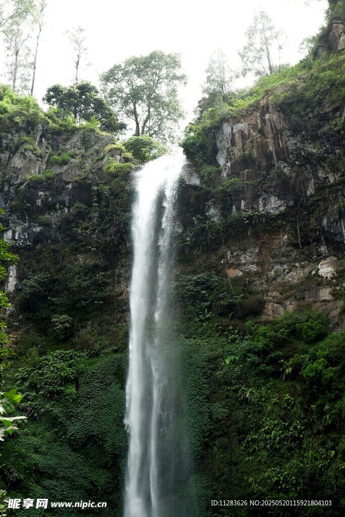 山間飛瀑 綠意盎然的美景