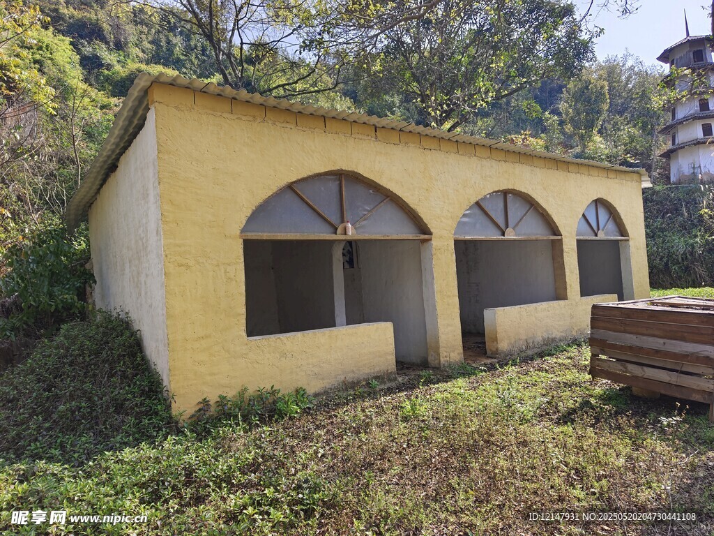 黃色小屋隱于綠植間