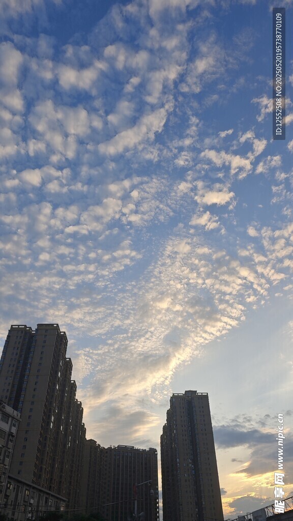 城市天際線與絢麗云彩
