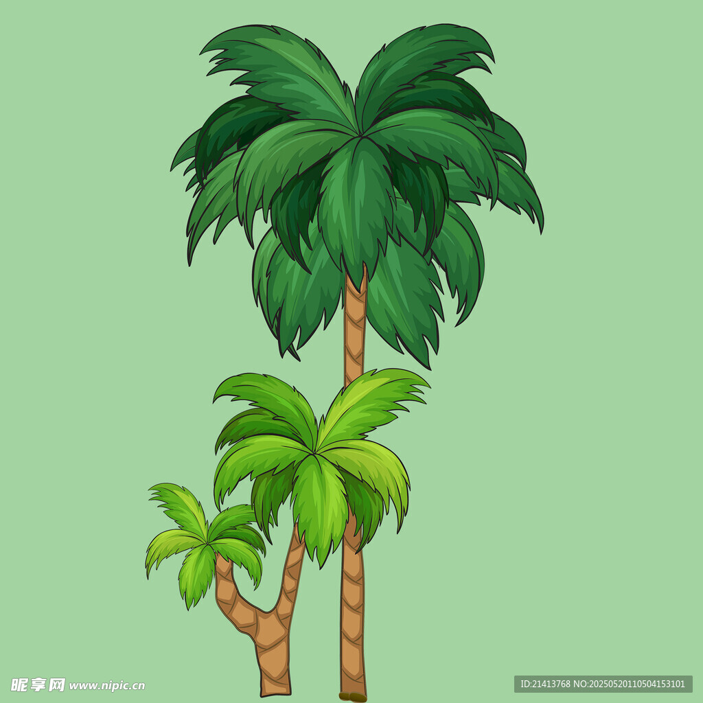 兩棵棕櫚樹插畫