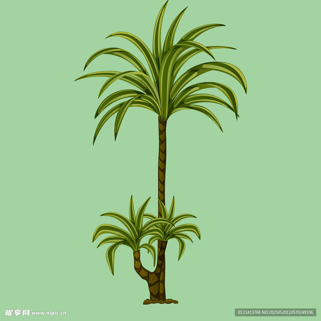 兩棵棕櫚樹插畫