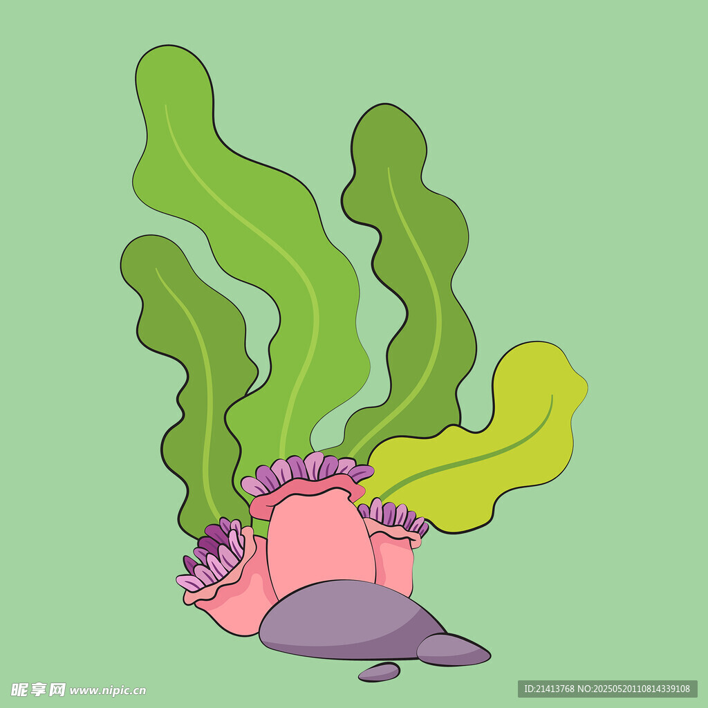 海底水草