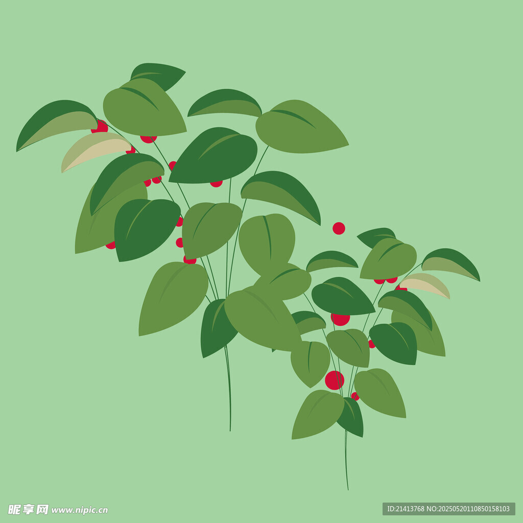 綠葉紅果植物插畫