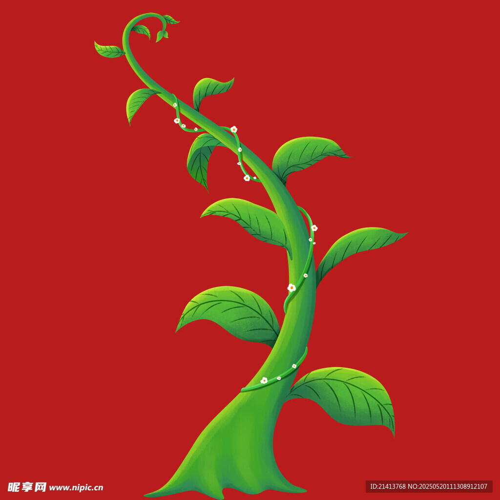 綠色藤蔓植物