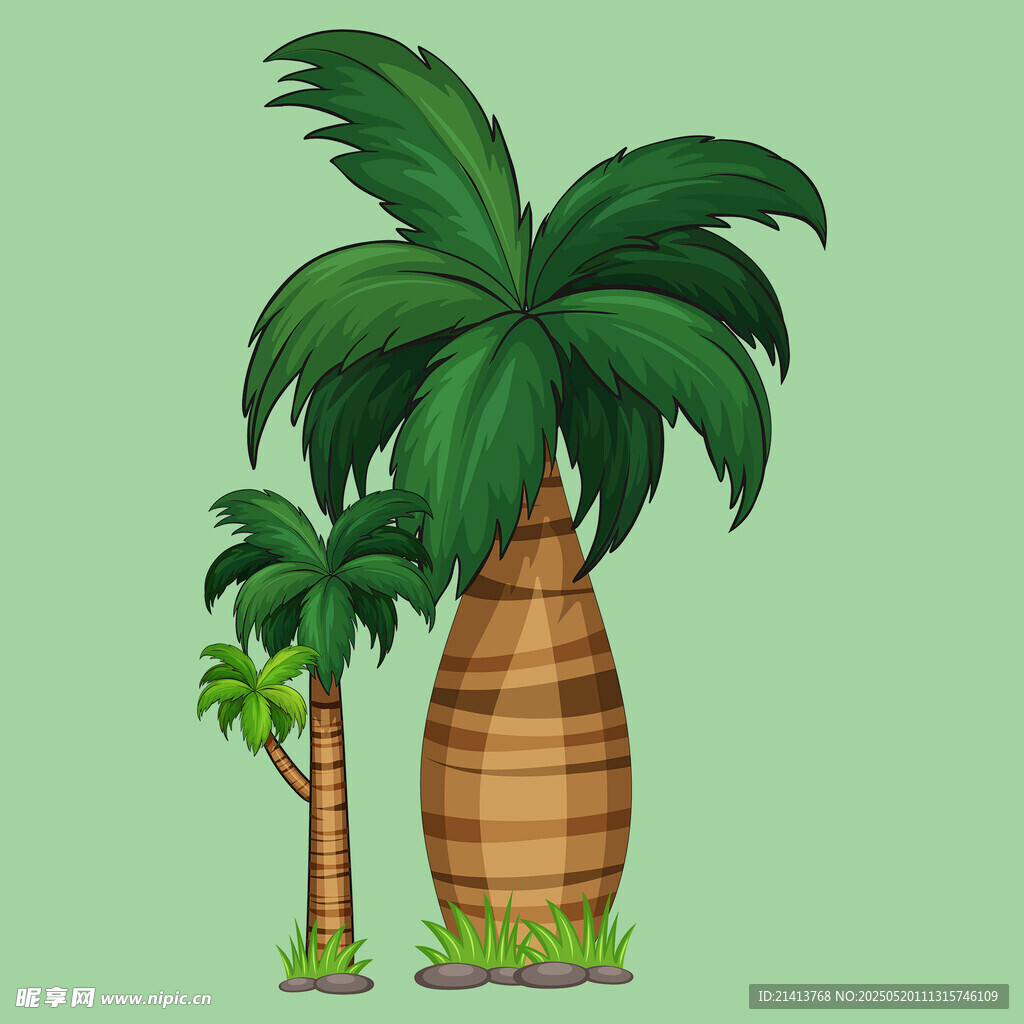 棕櫚樹插畫
