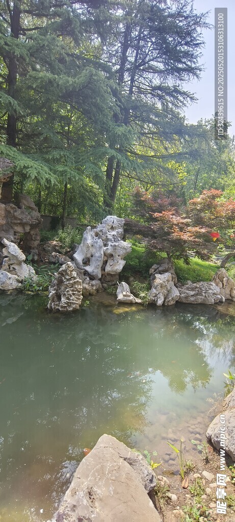 中式園林池塘景觀
