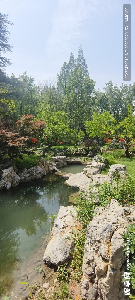 山間溪流畔的秀麗自然景