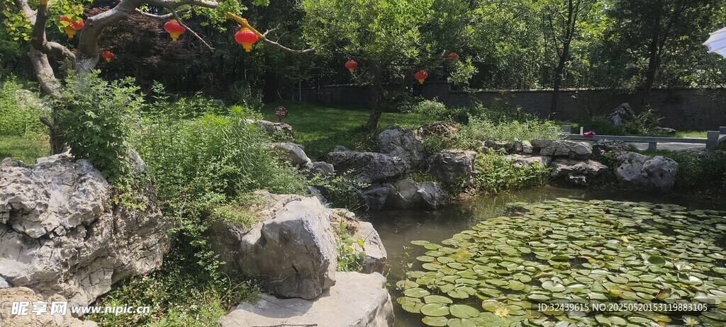 中式園林景觀池塘景致